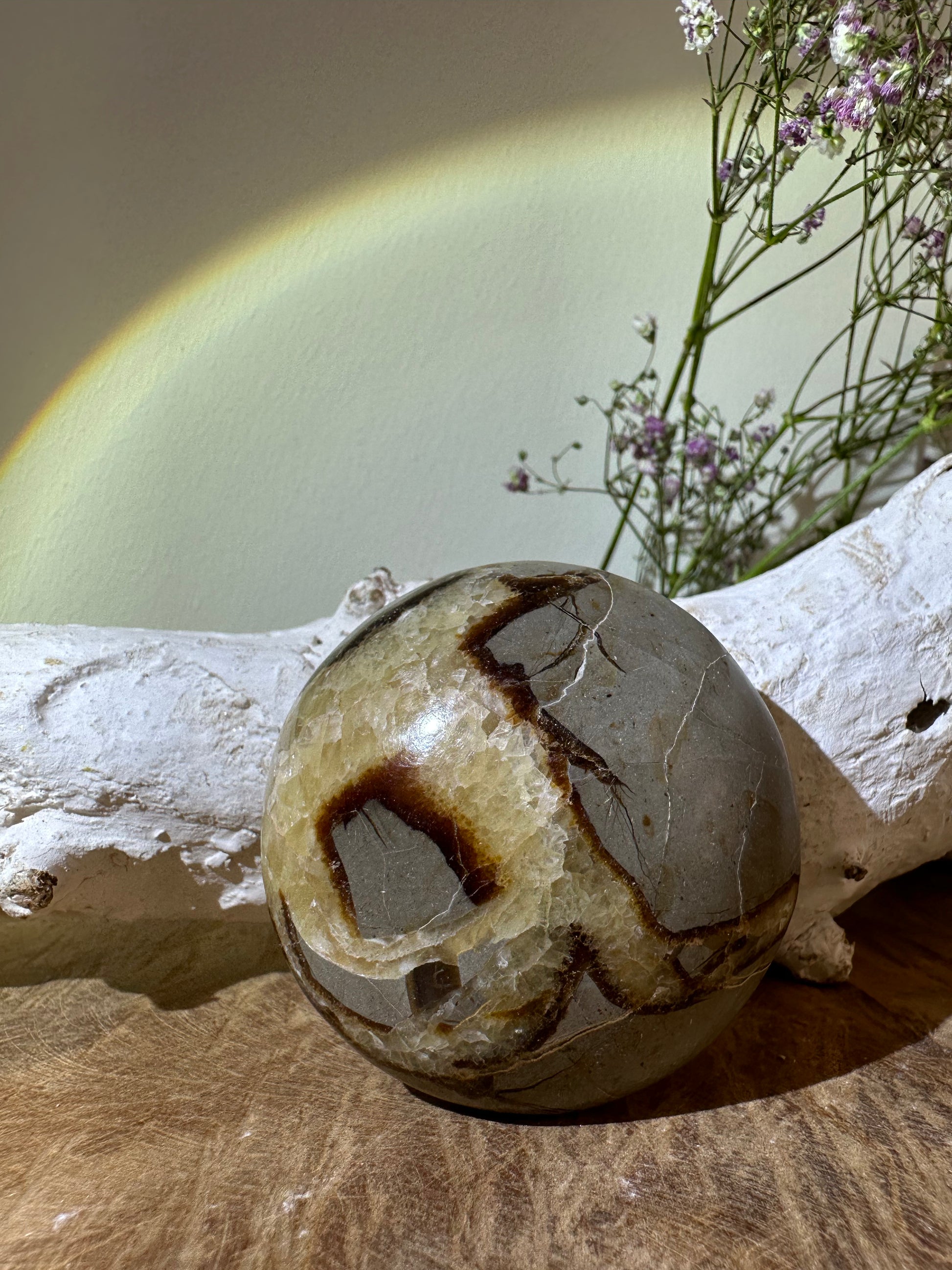Septarie palmsteen rond - Gemstone Dreams