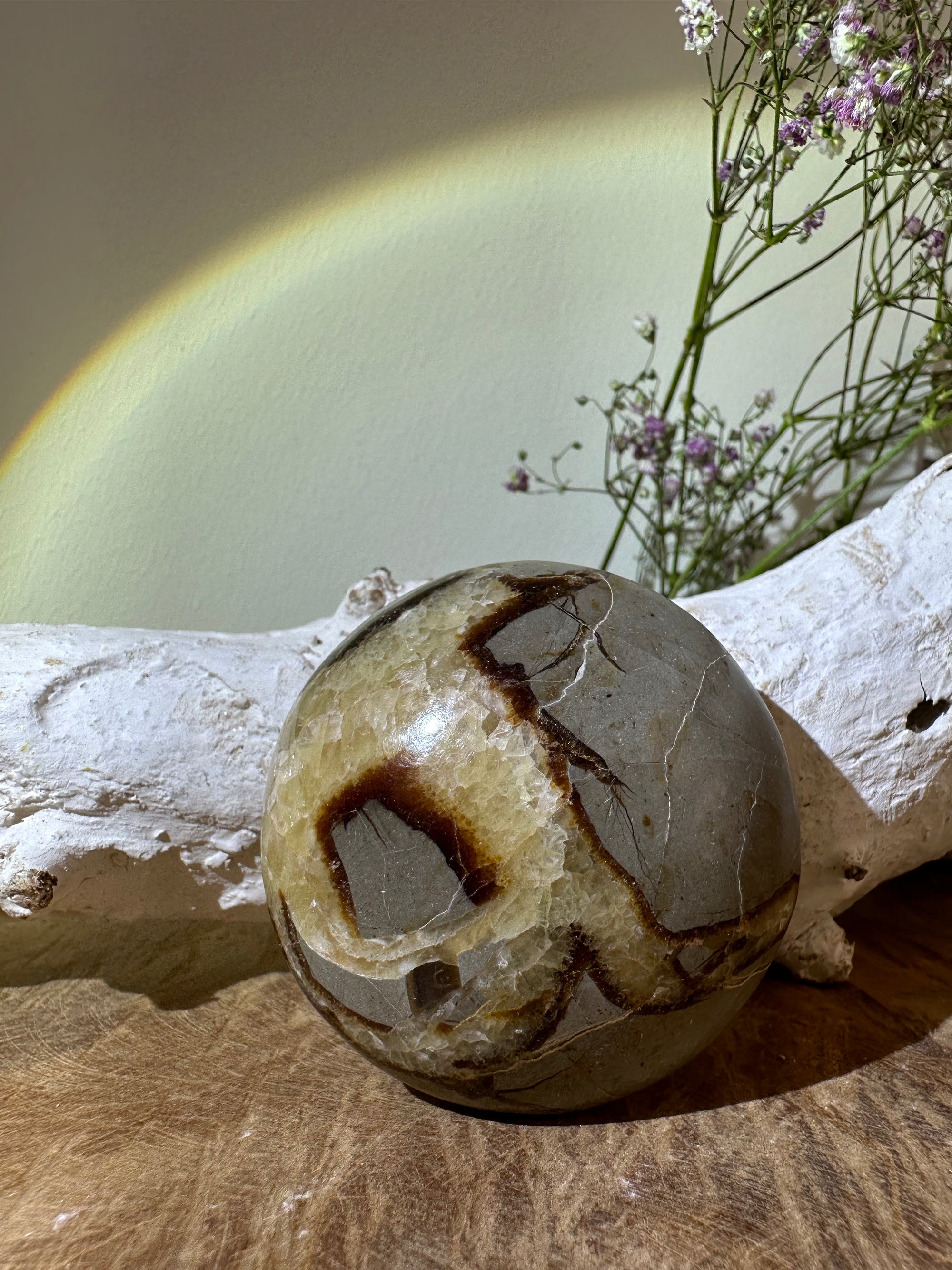 Septarie palmsteen rond - Gemstone Dreams
