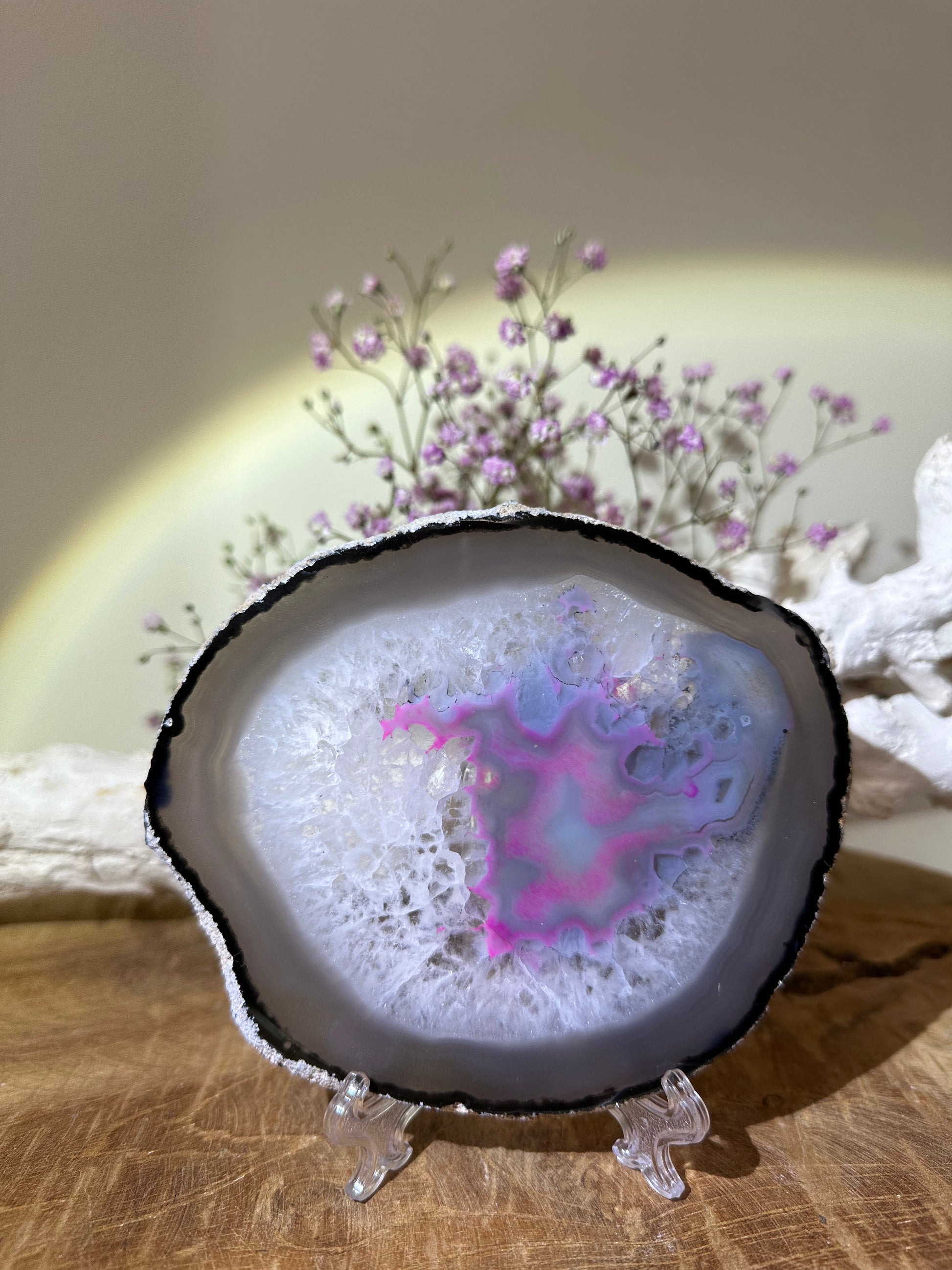 Schijfhouders wit 3 formaten - Gemstone Dreams
