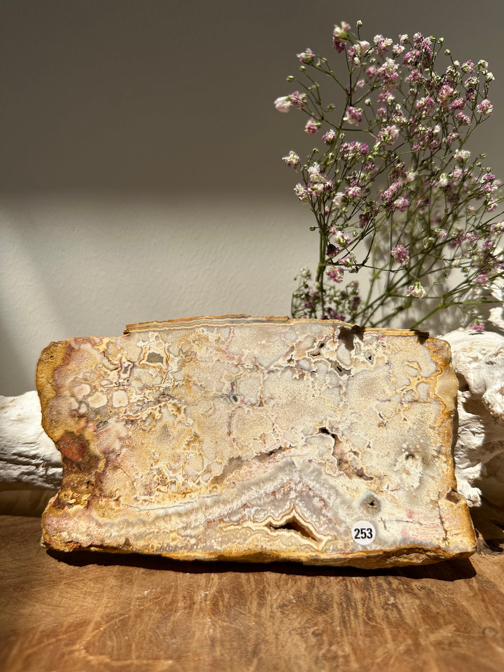 Yellow crazy lace slab - Gemstone Dreams