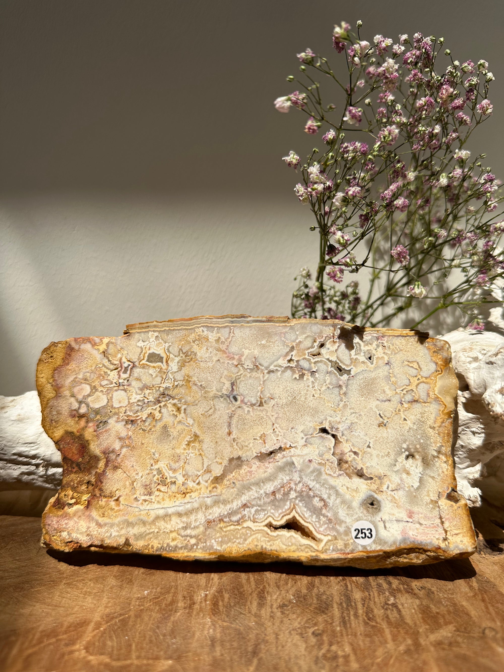 Yellow crazy lace slab - Gemstone Dreams